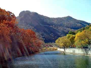 澳門一碼一肖，揭秘預(yù)測(cè)準(zhǔn)確性的真相